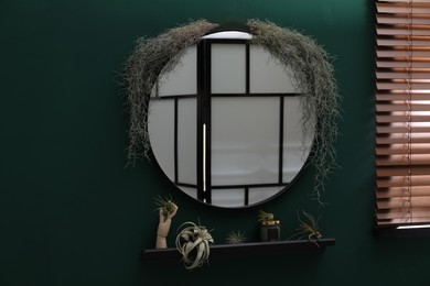 Photo of Different tillandsia plants near round mirror on green wall indoors. House decor