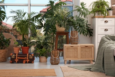 Photo of Stylish living room with beautiful plants. Interior design