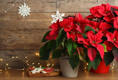 Photo of Poinsettia (traditional Christmas flower), cookies and string lights on wooden table