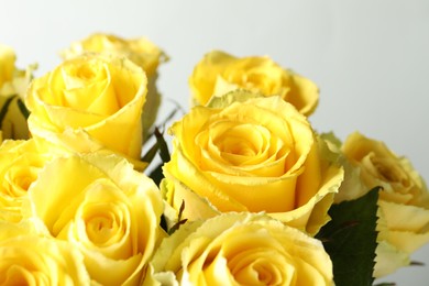 Photo of Beautiful bouquet of yellow roses on light grey background, closeup