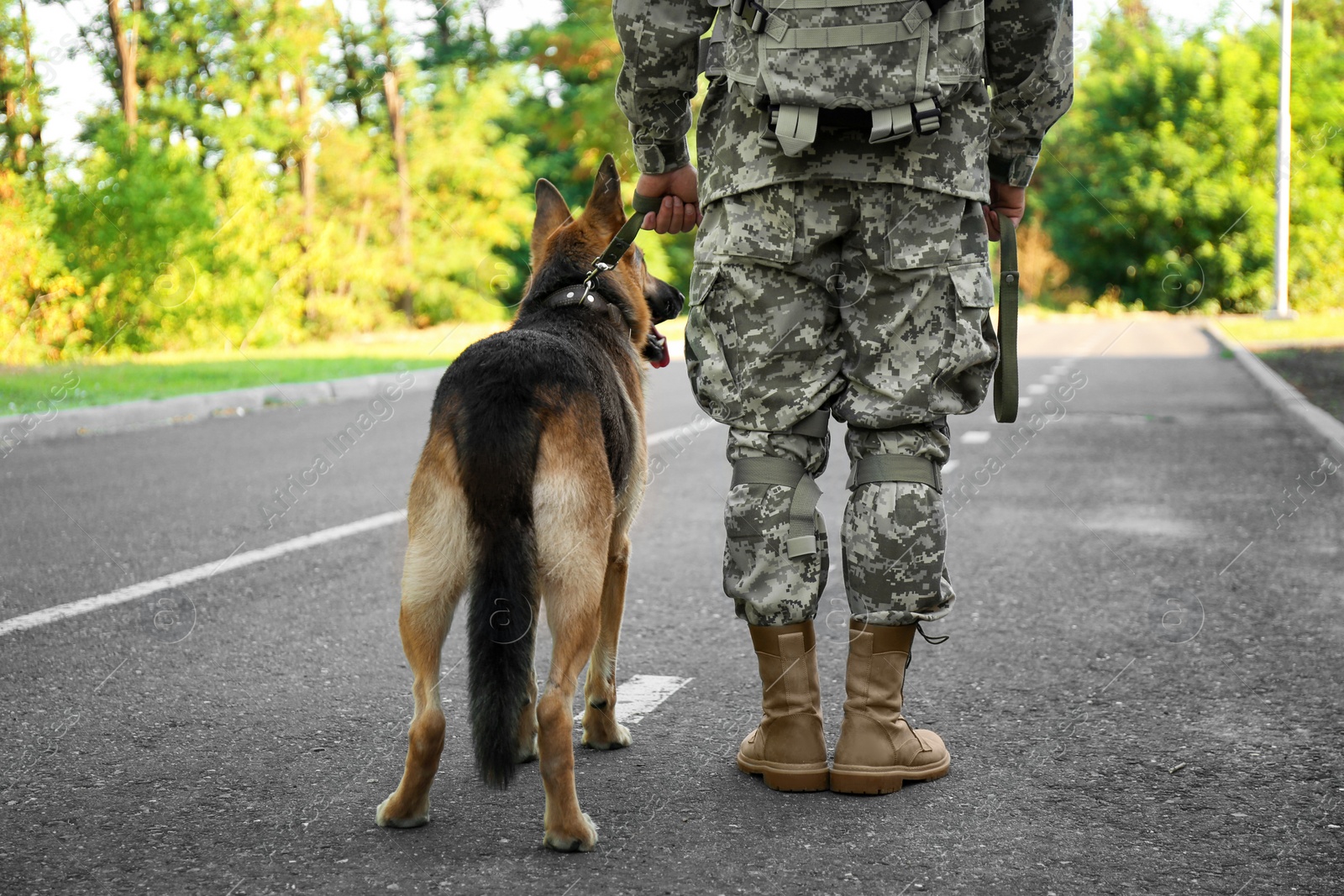 Photo of Man in military uniform with German shepherd dog outdoors, closeup