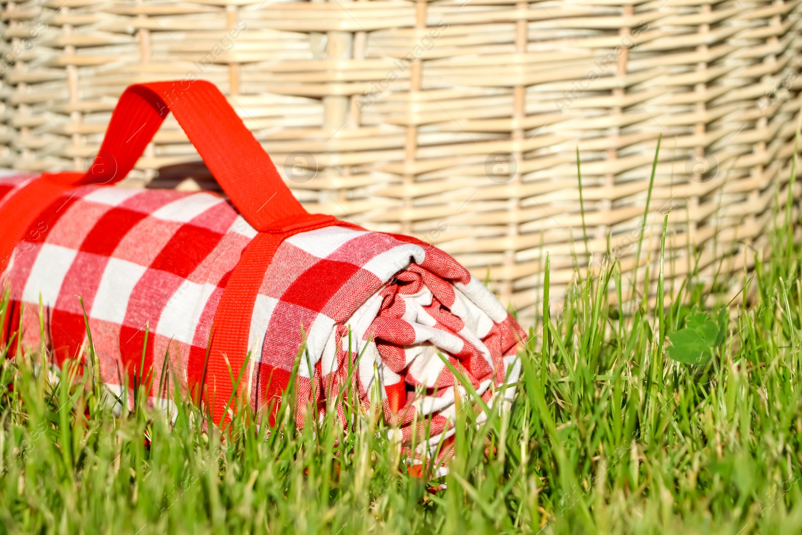 Photo of Rolled checkered tablecloth near picnic basket on green grass, closeup