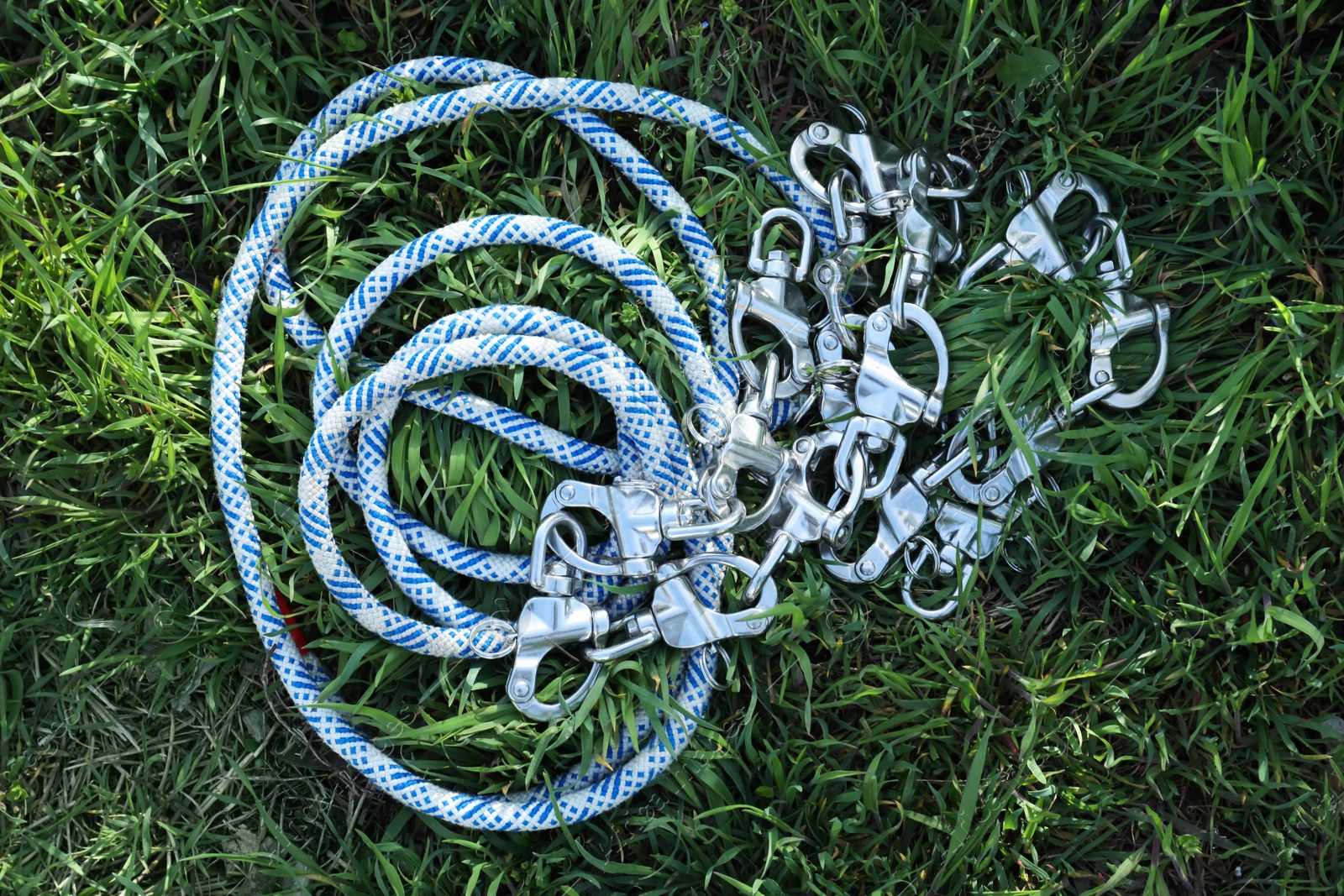 Photo of Climbing rope with carabiners on green grass, top view