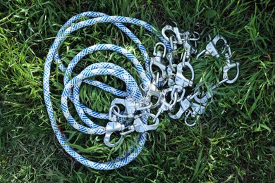 Climbing rope with carabiners on green grass, top view