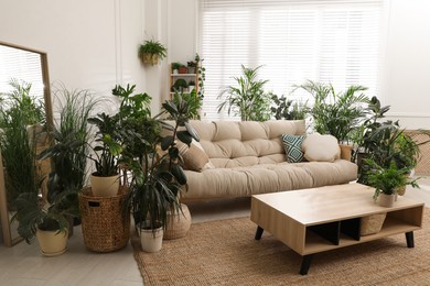 Photo of Stylish room interior with comfortable sofa and beautiful potted plants. Lounge zone