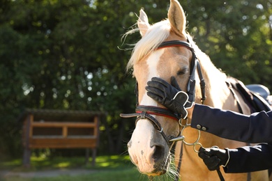 Photo of Young woman in horse riding suit and her beautiful pet outdoors on sunny day