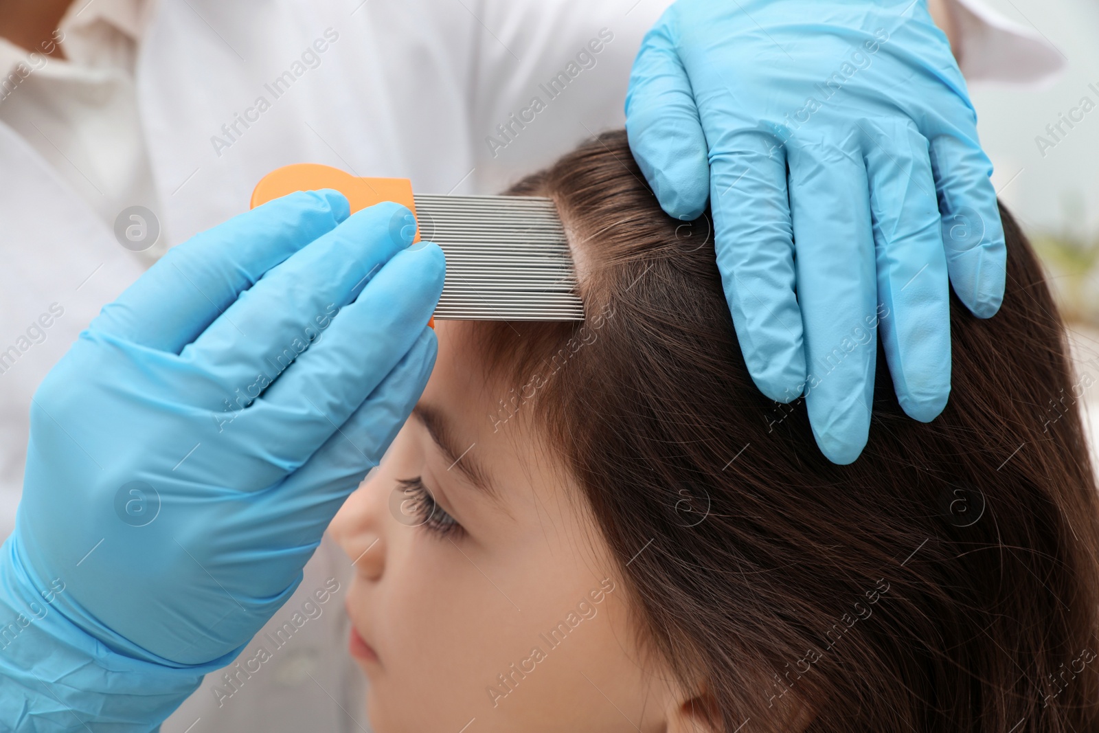 Photo of Doctor using nit comb on little girl's hair indoors. Anti lice treatment