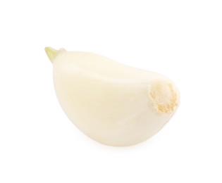 One peeled clove of garlic isolated on white