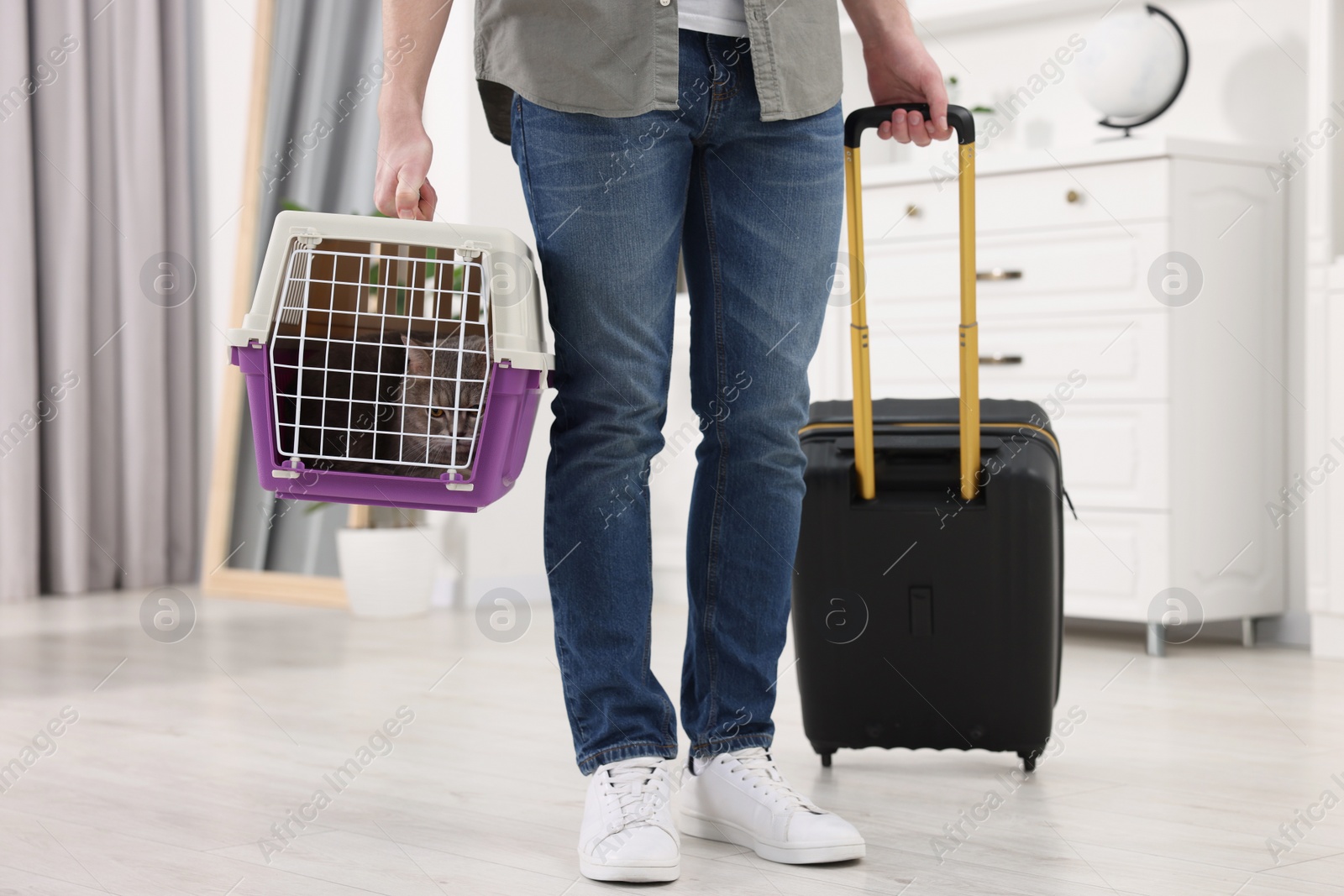 Photo of Travel with pet. Man holding carrier with cute cat and suitcase at home