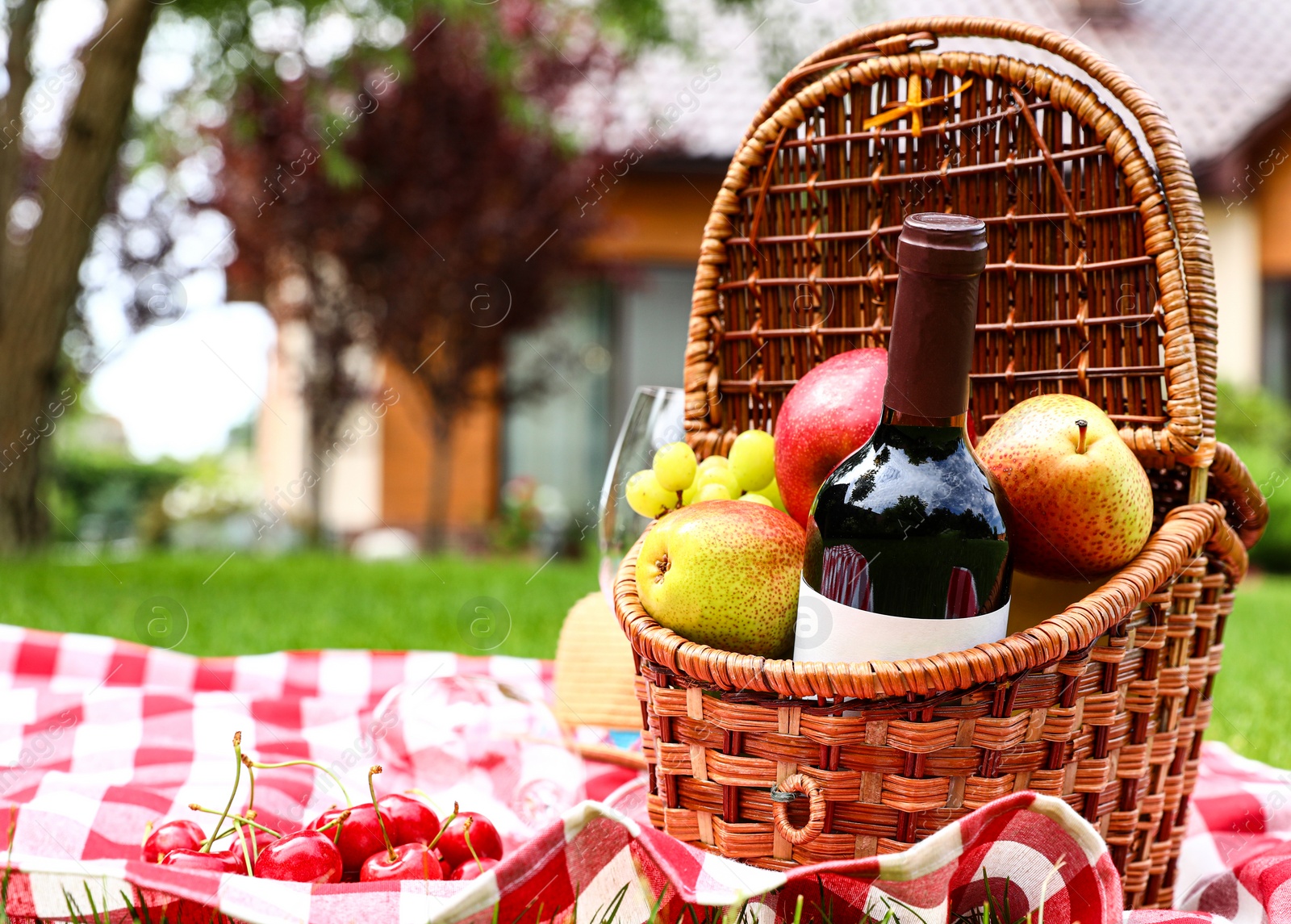 Photo of Picnic basket with fruits and bottle of wine on checkered blanket in garden