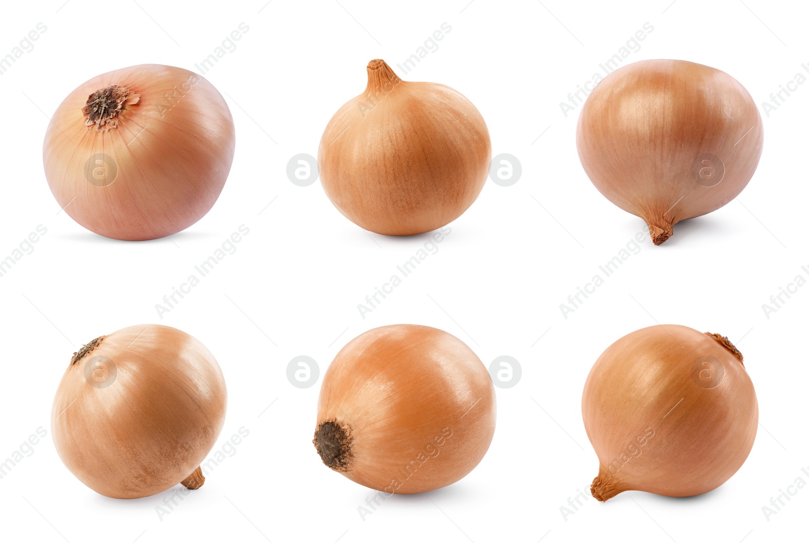 Image of Collage with fresh unpeeled onion bulbs on white background