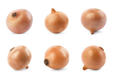 Image of Collage with fresh unpeeled onion bulbs on white background