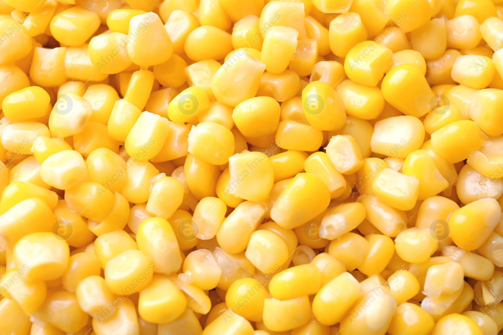 Photo of Ripe corn kernels as background, top view