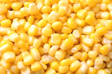 Photo of Ripe corn kernels as background, top view