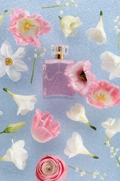 Luxury perfume and floral decor on light blue plastic surface, flat lay