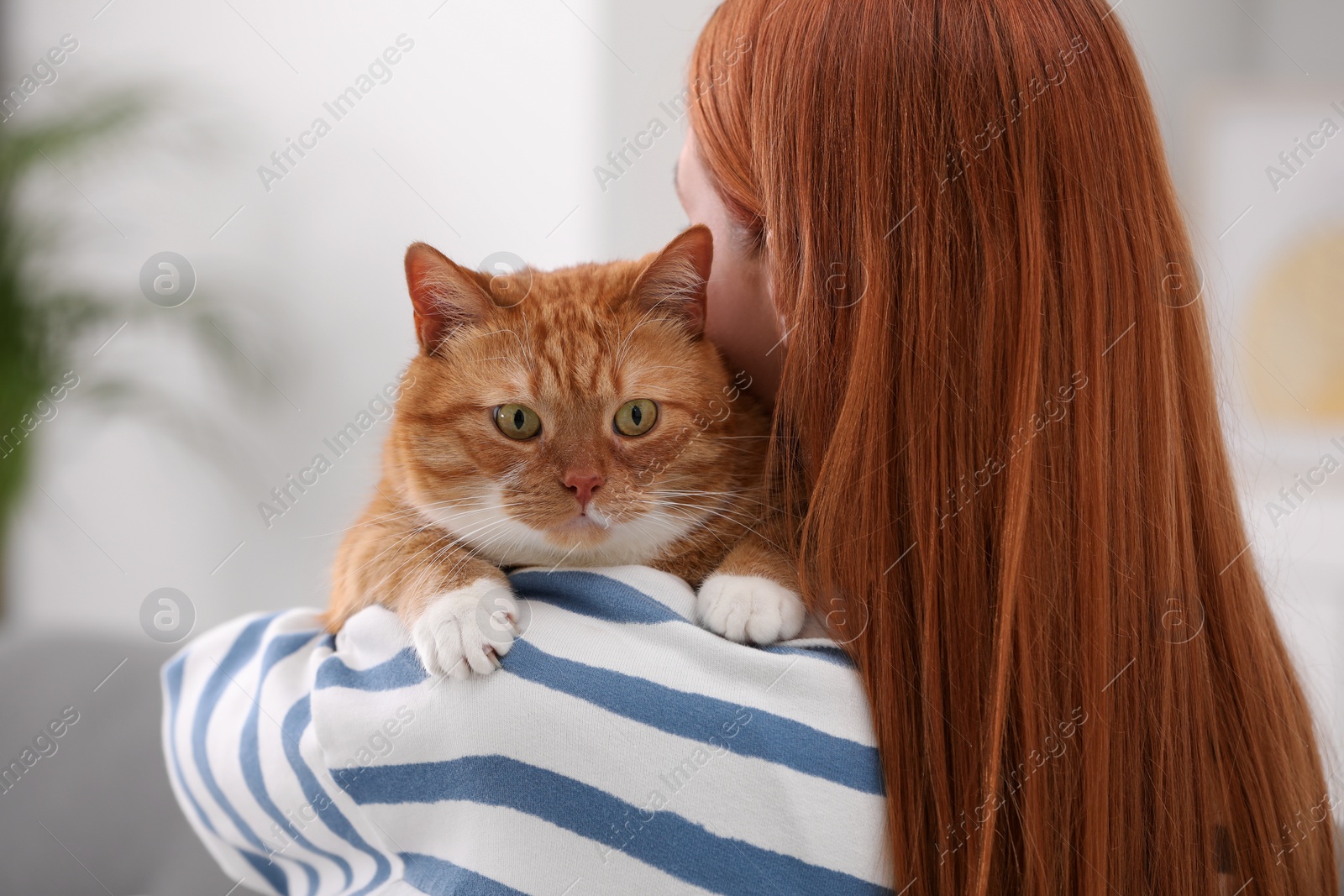 Photo of Woman with her cute cat at home, back view