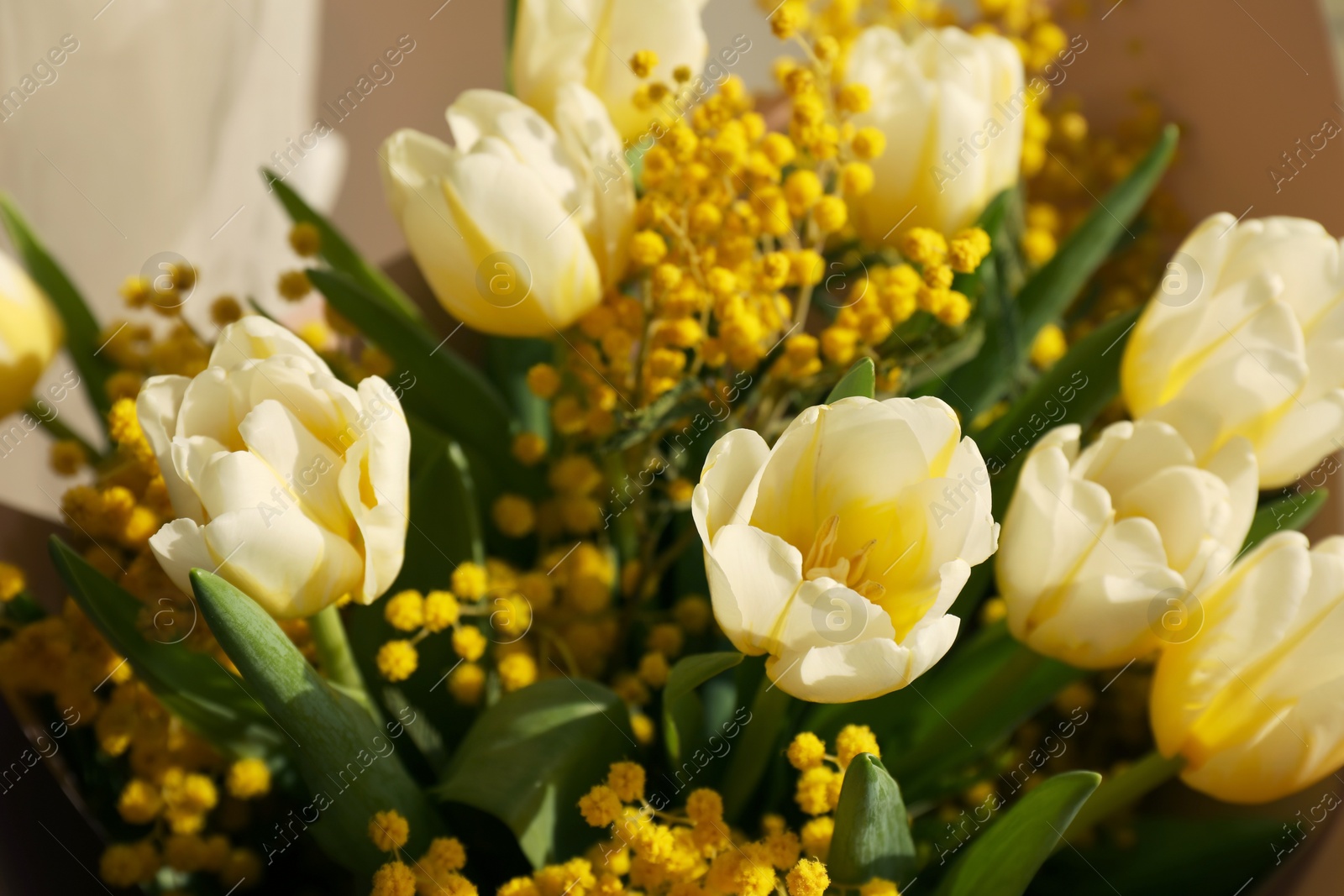 Photo of Bouquet of beautiful spring flowers, closeup view