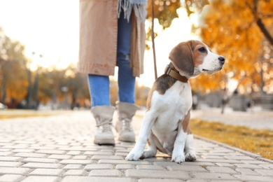 Photo of Woman walking her cute Beagle dog in park on autumn day