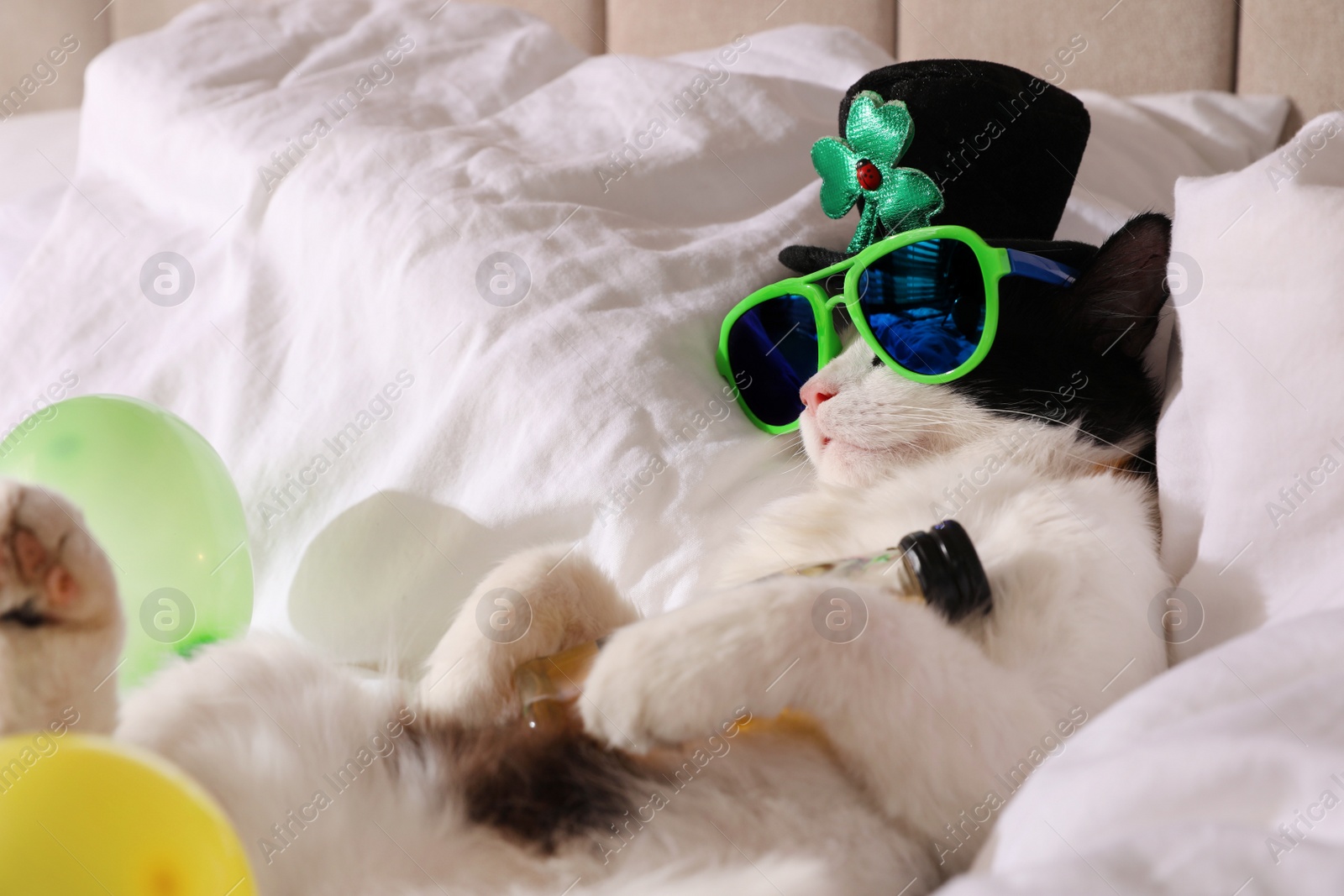 Photo of Cute cat wearing leprechaun hat and sunglasses with bottle of whiskey on bed. After party hangover