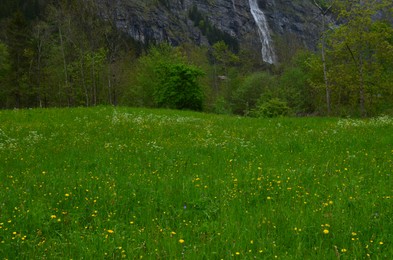 Photo of Beautiful view of green meadow in mountains