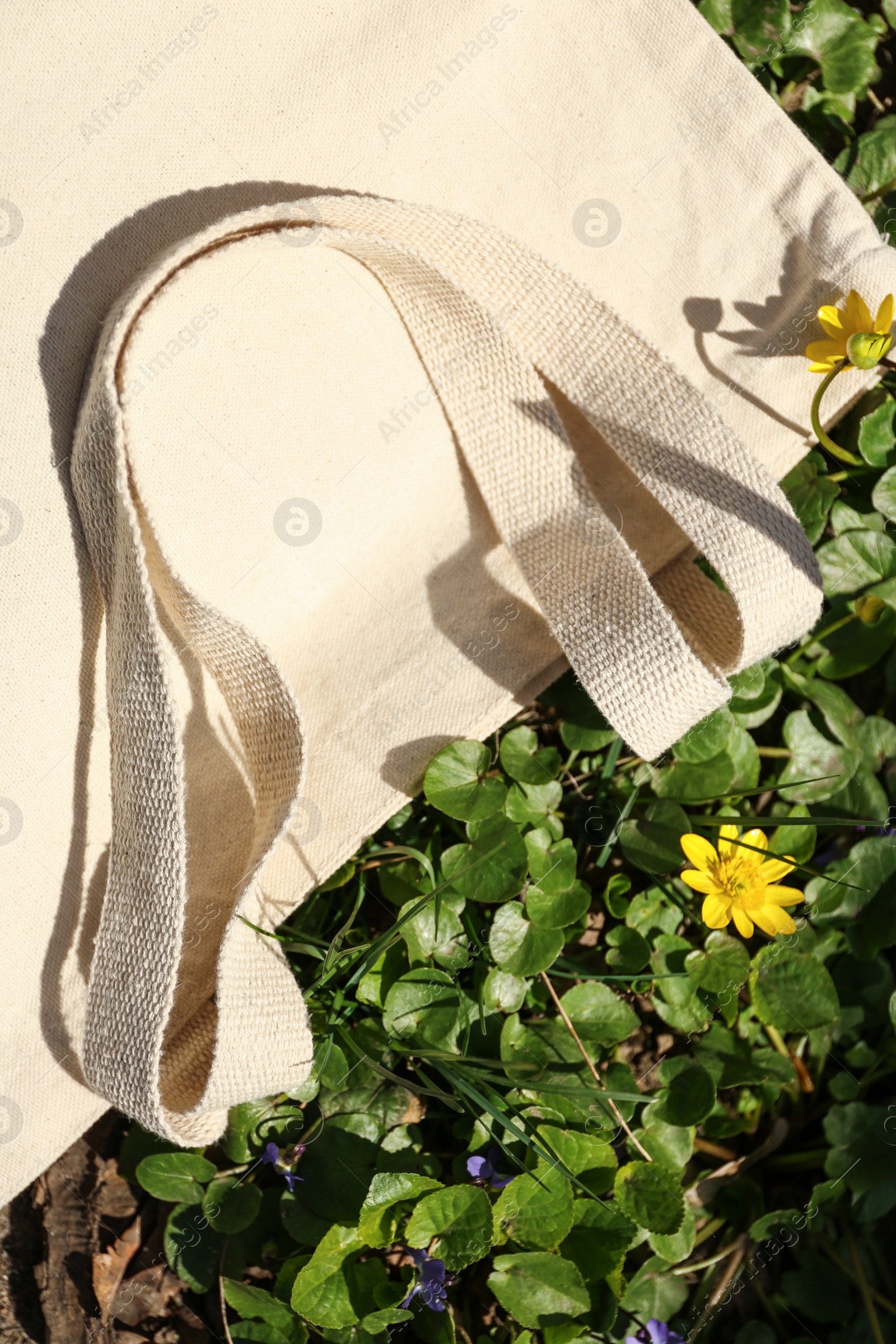 Photo of Cotton bag on grass outdoors, top view