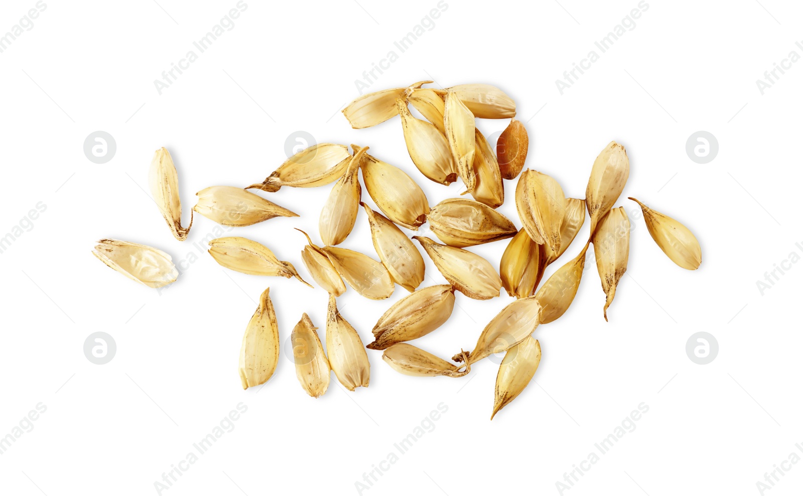 Photo of Pile of wheat grains on white background, top view