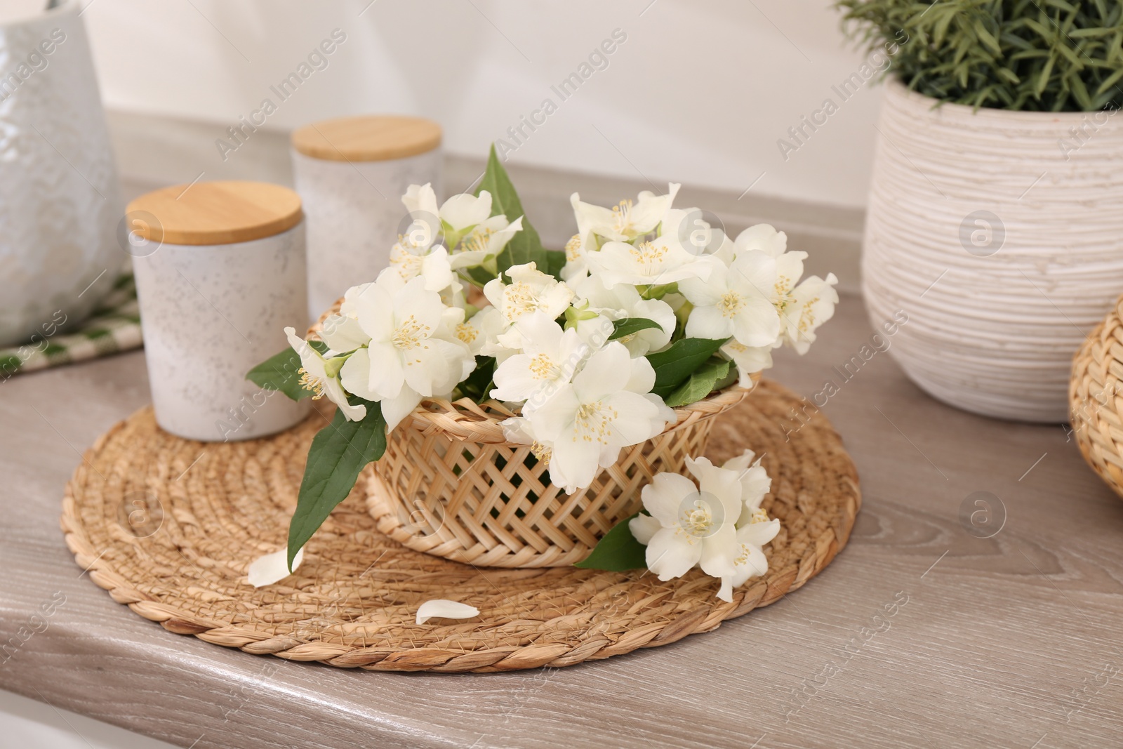 Photo of Beautiful jasmine flowers on wooden table indoors