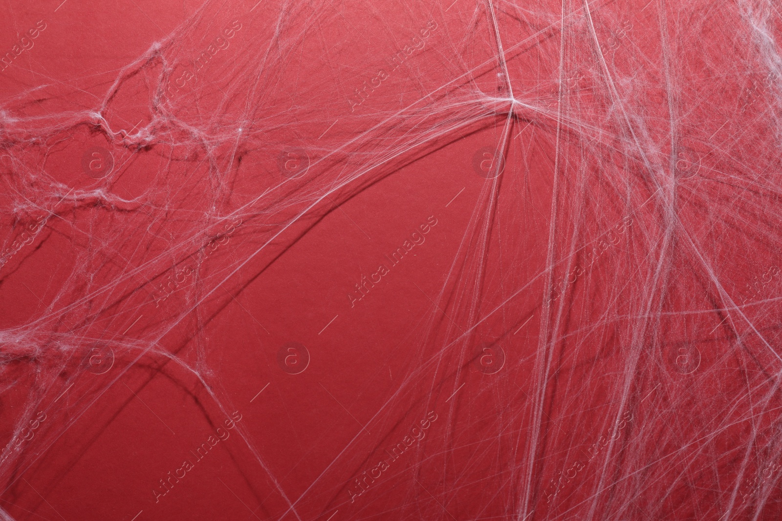 Photo of Creepy white cobweb hanging on red background