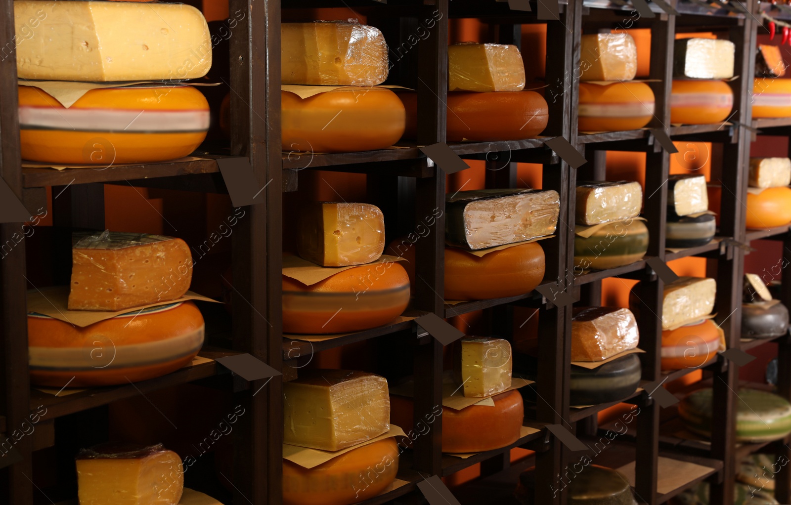 Photo of Different types of delicious cheeses on rack in store