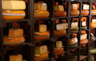 Photo of Different types of delicious cheeses on rack in store