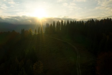 Image of Aerial view of beautiful pathway in mountain forest at sunrise