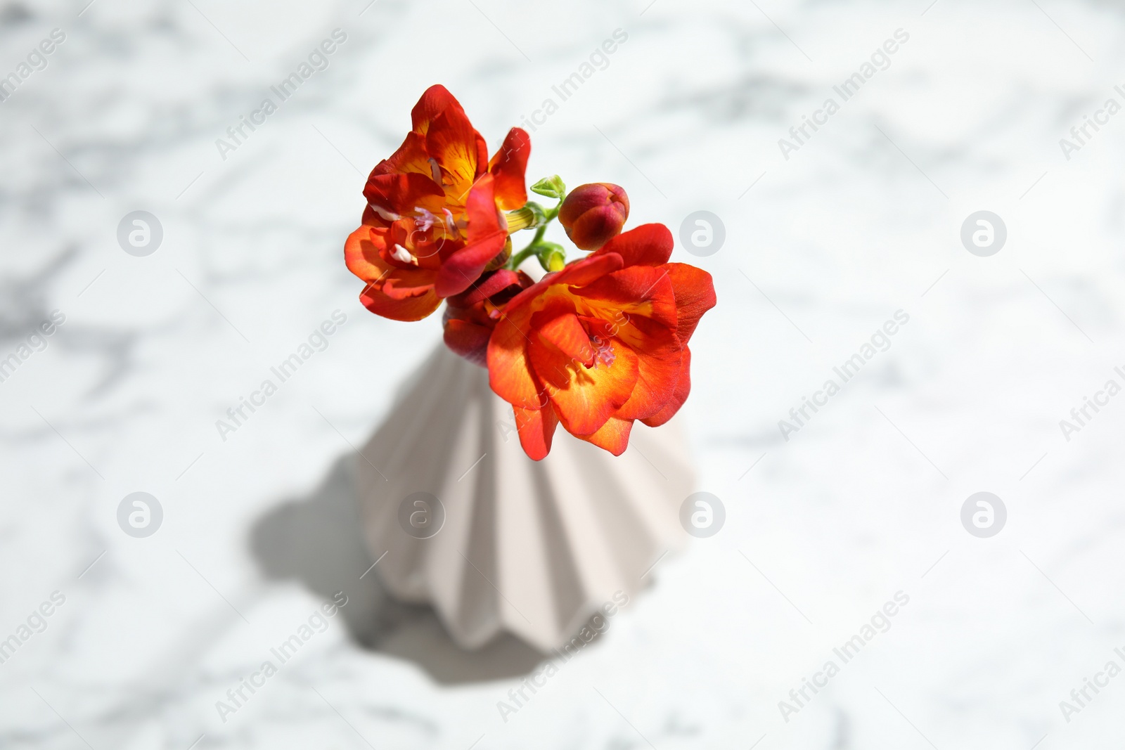 Photo of Spring freesia flowers in vase on marble background, view from above