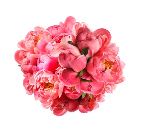 Beautiful peony flower bouquet on white background