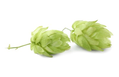 Photo of Fresh green hop flowers on white background