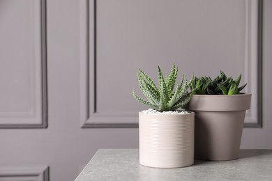 Photo of Beautiful Aloe and Haworthia in pots on light table, space for text. Different house plants