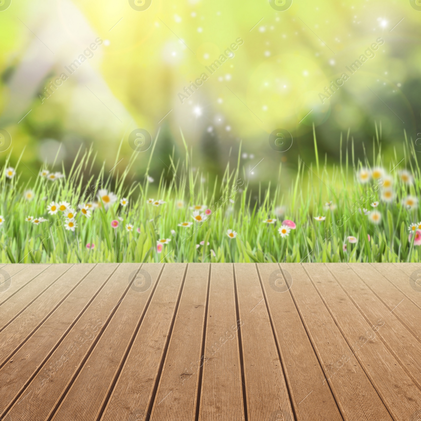 Image of Empty wooden surface and blurred view of beautiful blooming flowers in green meadow. Bokeh effect