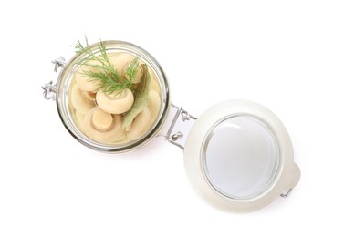 Jar with marinated mushrooms and dill isolated on white, top view