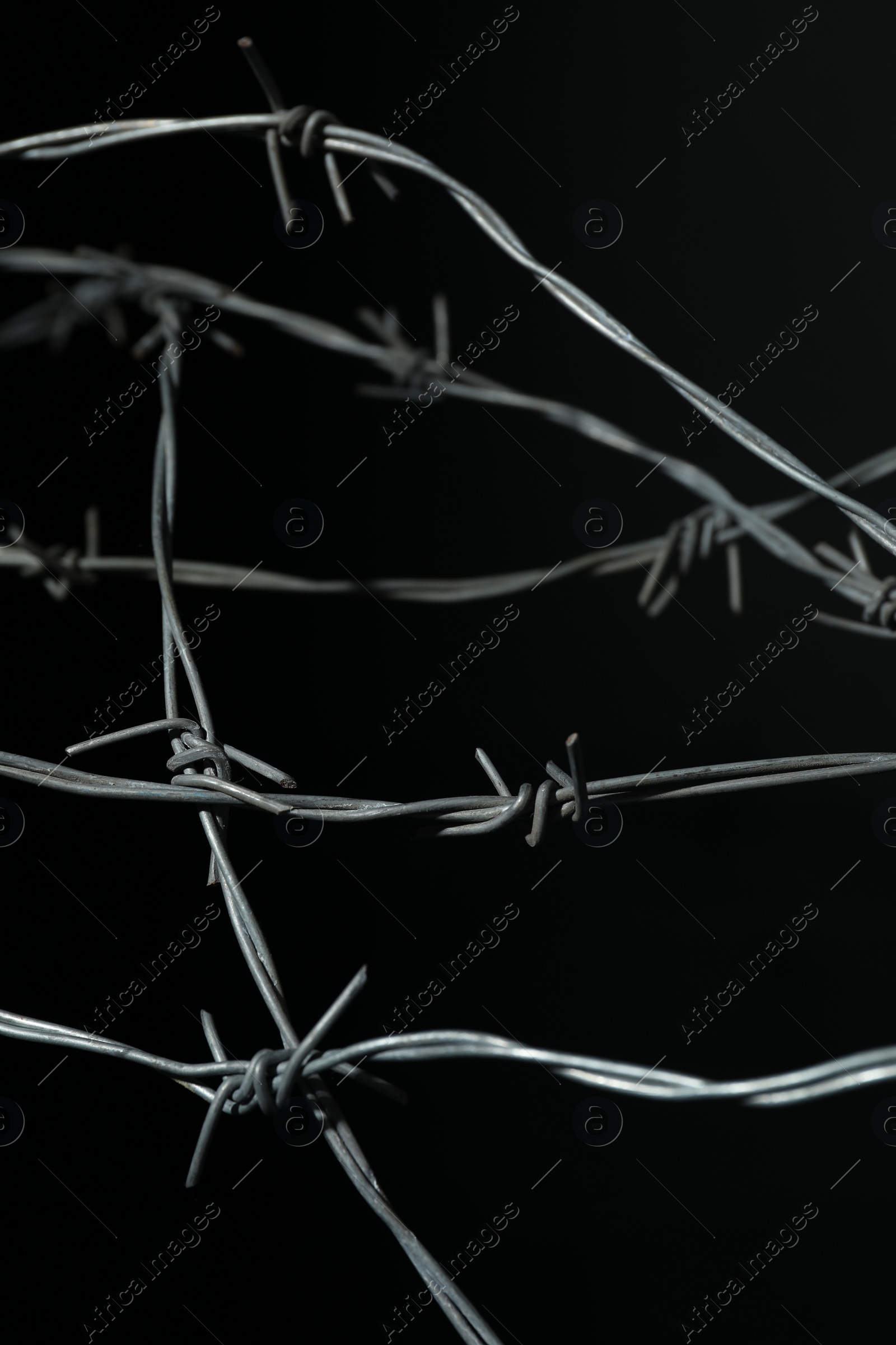 Photo of Metal barbed wire on black background, closeup