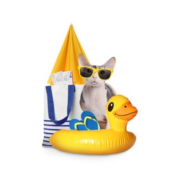Cute cat and summer vacation items on white background. Travelling with pet