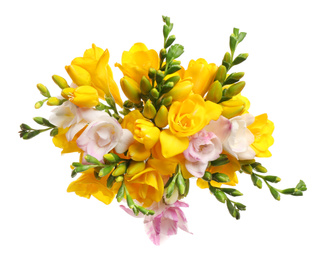 Bouquet of beautiful freesia flowers on white background