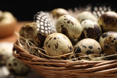 Photo of Nest with speckled quail eggs and feathers, closeup