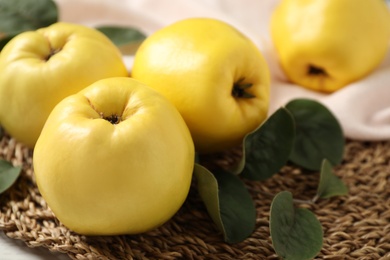 Fresh ripe organic quinces with leaves on table, closeup