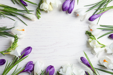 Photo of Beautiful spring crocus flowers on white wooden table, flat lay. Space for text