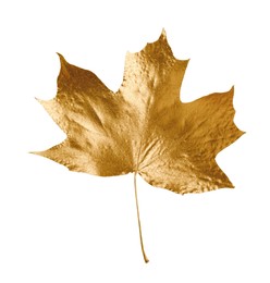 Photo of One golden maple leaf isolated on white. Autumn season