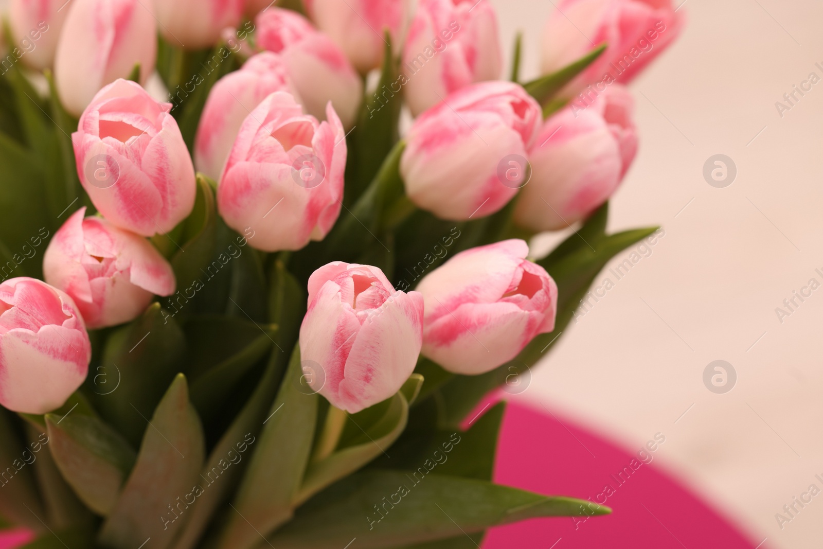 Photo of Beautiful bouquet of fresh pink tulips on blurred background, closeup