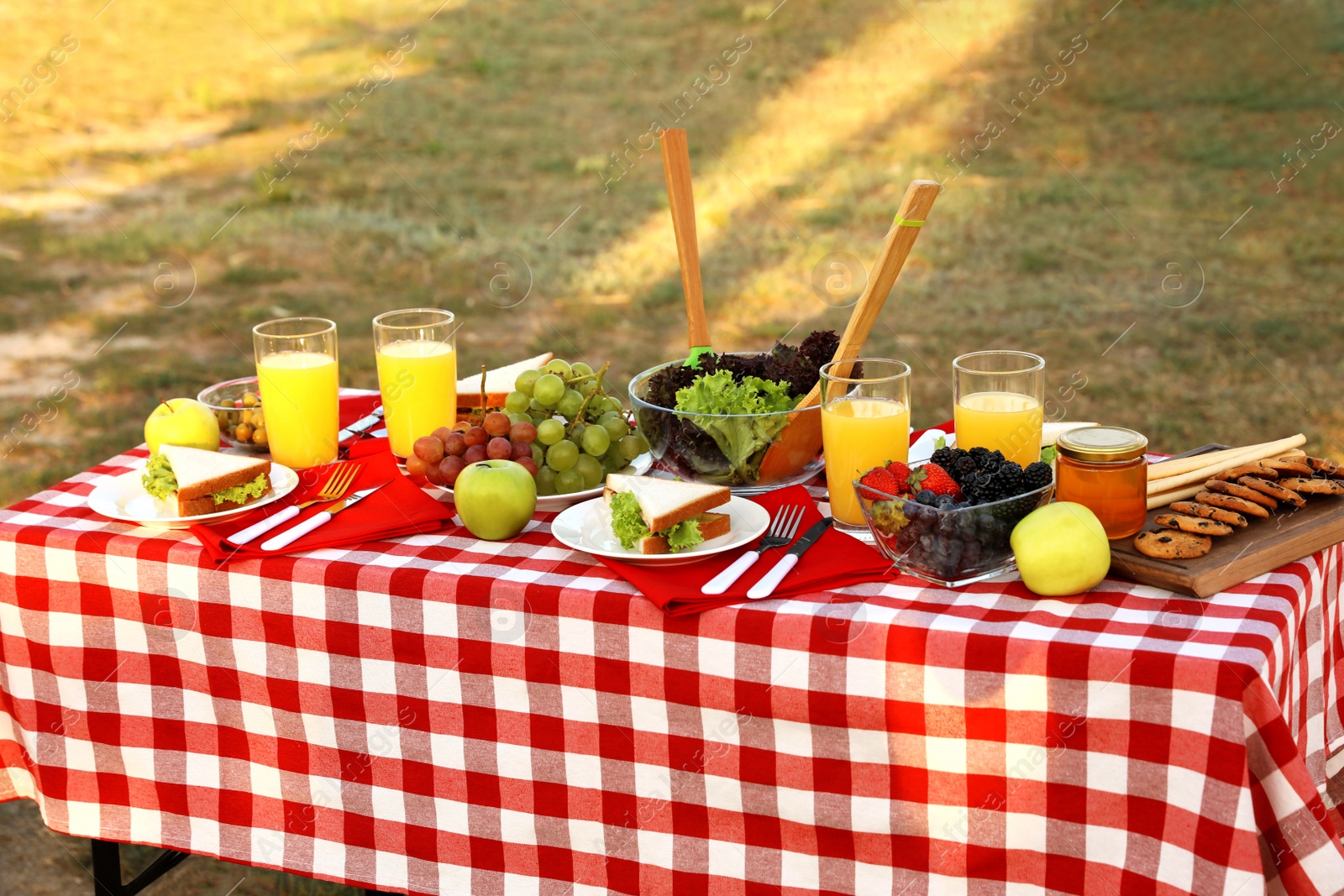 Photo of Picnic table with different snacks and drink in park