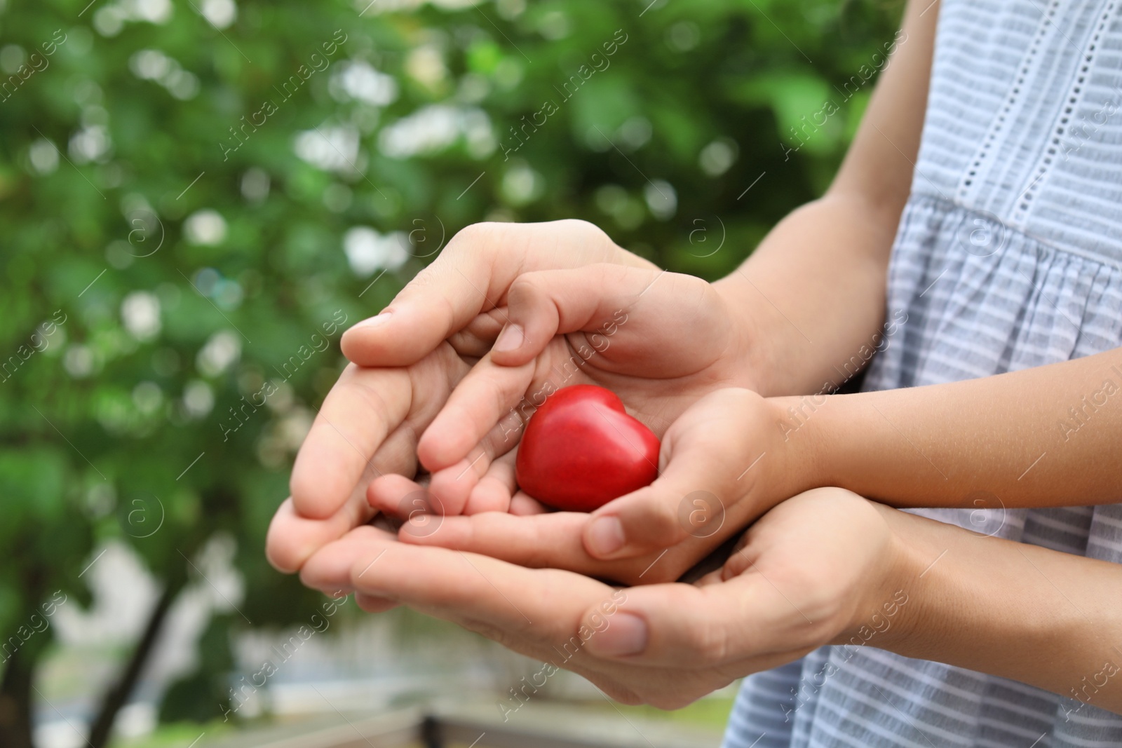 Photo of Family holding small red heart in hands together outdoors, closeup