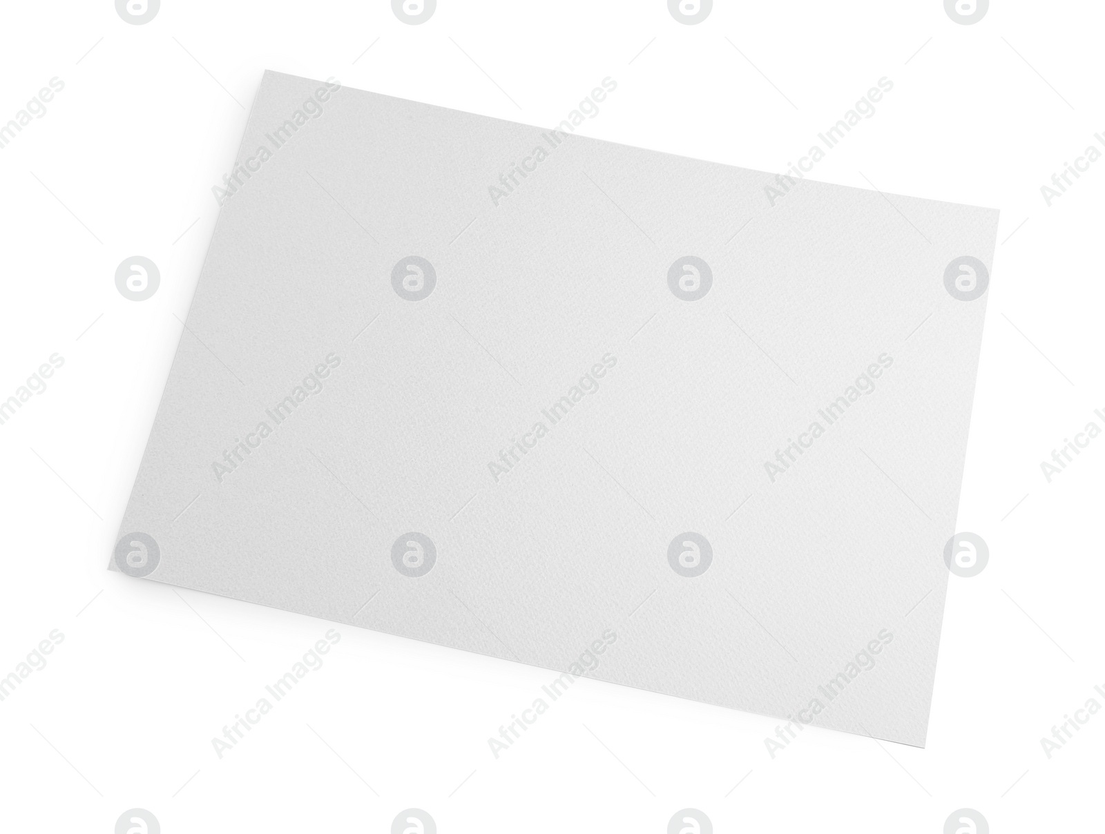 Photo of Sheet of parchment paper isolated on white