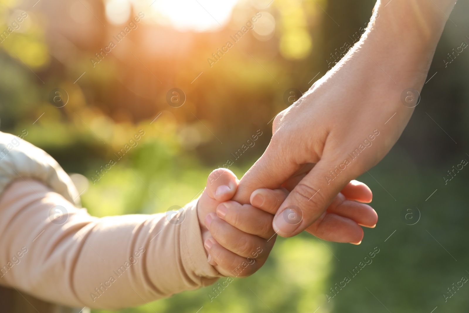 Photo of Daughter holding mother's hand outdoors, closeup view