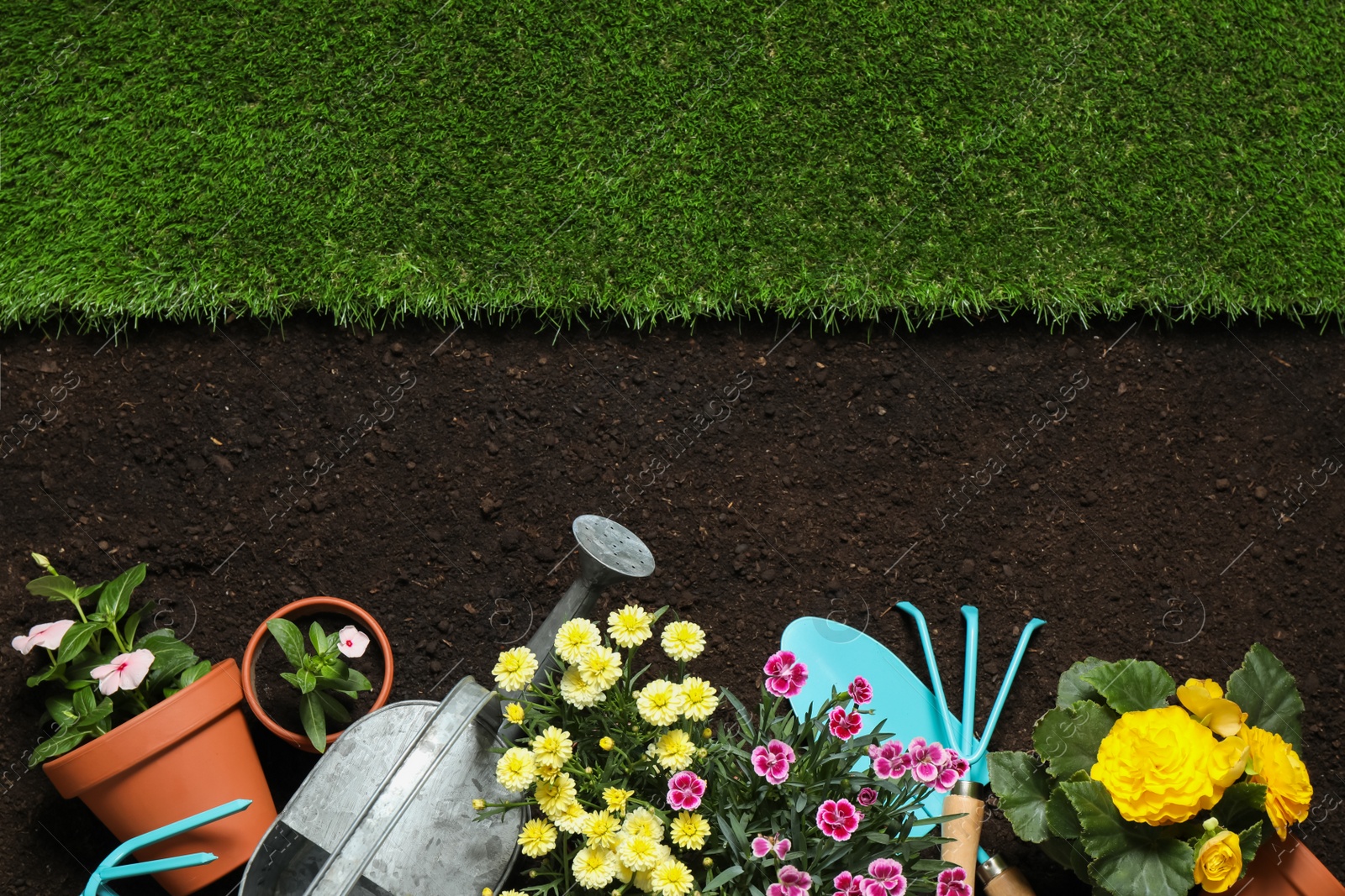 Photo of Flat lay composition with gardening equipment and flowers on soil, space for text